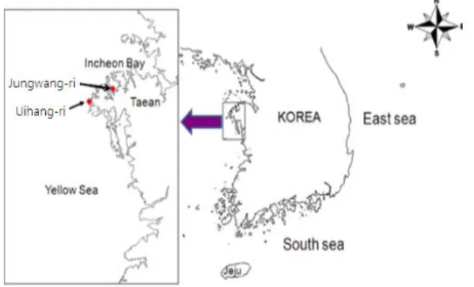Fig. 1. Location of the study area.  력이  요구된다. Kim et al. (2010) 은  HS호  유류  유출  사고  이후  태안  양식어장에서  잔존유류의  농도  변화를  모니터링하 여  2008년 2월 이후부터 해수 중 유분의 농도가 빠르게 회복 됨을 보고하며 굴 양식장의 회복을 위해서는 건강한 자원의 유 입이  필요함을  언급한  바  있다