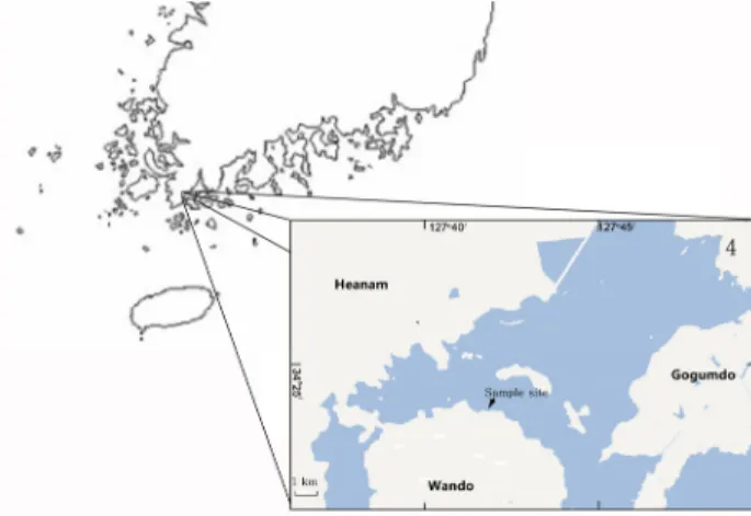 Fig. 1. Map of sampling site. Arrows indicate the sampling  area for the study. 