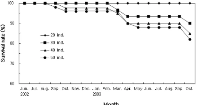 Fig. 5. Monthly variations in survival of the scallop, Chlamys  farreri.  남  태안의  비단가리비  양식장  수온은  4.3-25.3℃,  염분은  29.2-32.1 psu로  나타났다