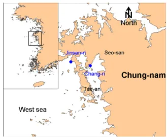 Fig. 2. A map showing two sampling areas (Jinsan-ri in  Taean and Chang-ri in Seosan) on the west coast of  Korea.로  생산된  것을  생식  또는  자숙,  훈제통조림  등으로  소비되어 왔으나  최근에는  수하식  양식  굴과  함께  갯벌  조간대에서  한 개체씩  분리시켜  자루에  넣어  키운  갯벌굴의  소비량이  프랑스 와  미국 ,  일본  등  선진국