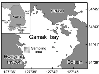 Fig. 2. Map showing the sampling area of ark shell,  Scapharca broughtonii.