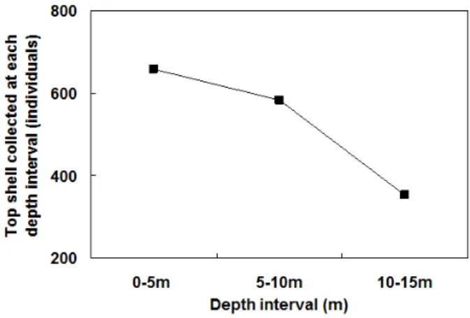 Fig. 4. Length-frequency distribution of top shell collected at  each depth interval.