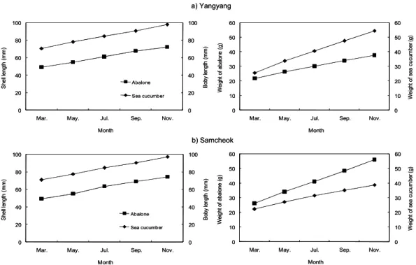 Fig. 4. Growth of 500 abalones and 50 sea cucumbers reared in a suspended container during eight months; a)  Yangyang farming, b) Samcheok farming