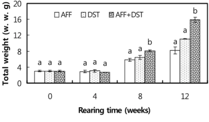 Fig. 7. Specific growth rate (SGR, %) of sea cucumber,  Stichopus japonicus. AFF: abalone formula feed, DST: 