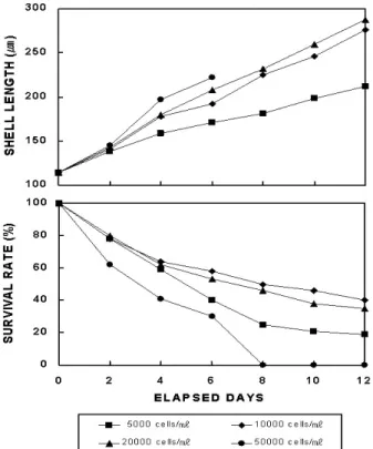 Fig. 4. Variations of shell length and survival rate of Corbicula  japonica larvae reared at different larvae densities
