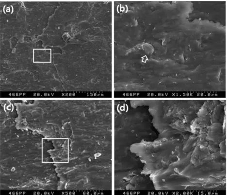 Fig. 5. SEM images at the 466 m core sample showing glassy texture with some slip evidence