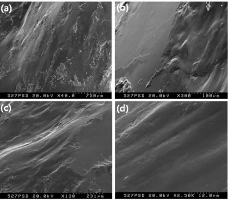 Fig. 7. SEM images at the 527 m core sample showing glassy textures resulted from melting