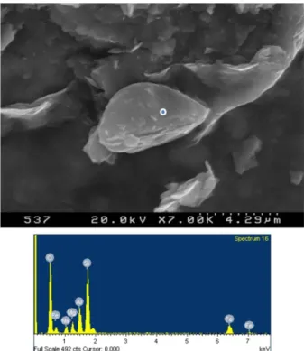 Fig. 8. SEM and EDS images at the 537 m core sample. A grain with embayed shape in the chlorite matrix shows abrasion texture during faulting