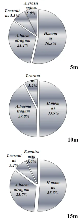 Fig. 6. Percentage composition of dominant species in  individual numbers at each water depth from the eight  sampling stations