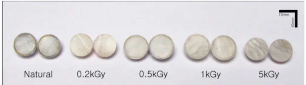 Fig. 1. Optic color change of Pinctada maxima (cross section) after γ-irradiation.  (Wada, 1999)