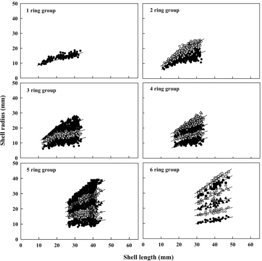 Fig. 3. Relationship between shell length and ring radii of Ruditapes philippinarum