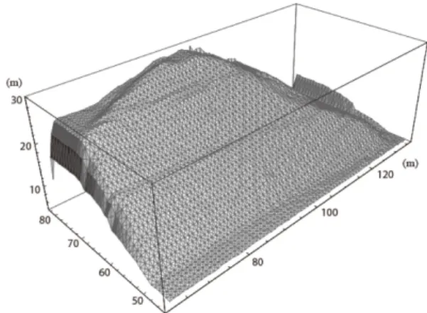 Fig. 1. Rock slope model based on digital data.