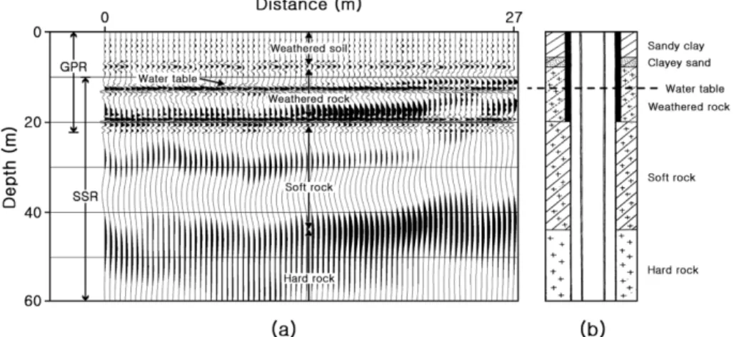 Fig. 6. (a) Integrated SSR–GPR section. The locations of the water table and other key interfaces are well aligned with (b) the facies observed from the drillcore