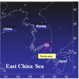 Fig. 1. Map showing the study area (□) in  jinhae bay, the East China Sea. 