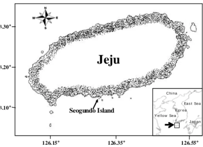 Fig. 1. Seogundo, showing its proximity to the shoreline.