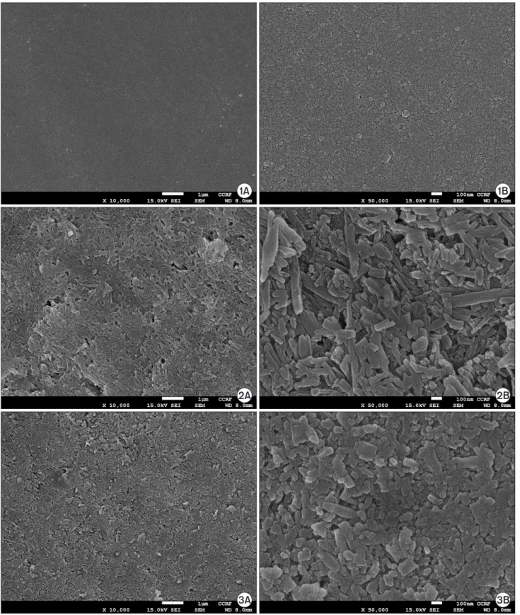 Fig. 2. SEM image of enamel surface after treatment on enamel (1: Mineral water, 2: Coca cola, 3: A group 4: B group, 5: C group, 6: D group, A: × 10,000, B: ×50,000).