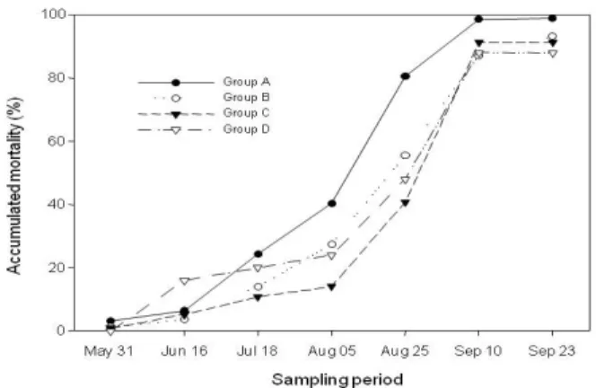 Fig. 4. Mortality rates (%) of R. philippinarum in the different  clam group density. 