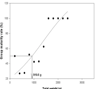 Fig. 5. Monthly changes in maturity stages of common octopus, Octopus vulgaris in the South Sea of Korea.