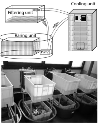 Fig.  1.  Diagram (above) and photograph (below) showing  the experimental system. 