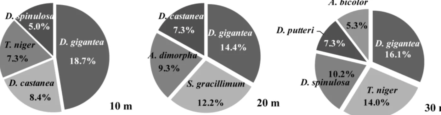 Fig.  6.  Dominant species at different depth of water in the sampling stations.