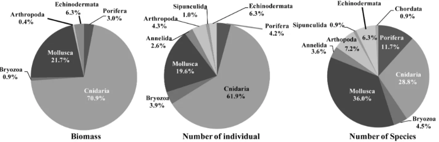 Fig.  3.  Species composition, number of individual and biomass of the macrobenthos in coastal water around Munseom.0.042  mg/L로  가장  낮았고,  10월에는  0.426  mg/L,  12월에는  0.213  mg/L로  DTN  및  DTP의  변동양상과  유사하게  10월에  높은  농도를  나타냈다