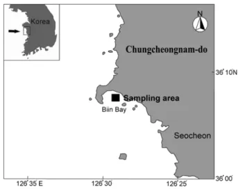 Fig. 1. Map showing the sampling area.업상 중요한 수산자원이지만 최근 서해안을 중심으로 간척사업이  일어나  이들  자원의  서식지가  날로  감소되고  있으며,  무분별한  남획으로  인해  최근  자원량이  현저히  격감되고  있어  본 종은  적절한  자원관리가  요망되는  종으로  부각되고  있다