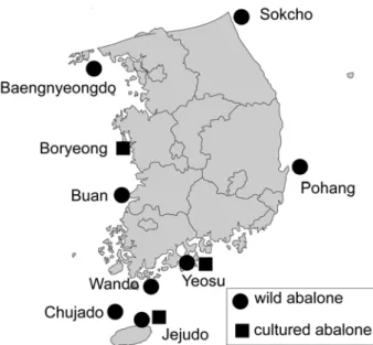 Fig. 1. Map showing collected locations of wild type and  cultured type of  two abalone subspecies.