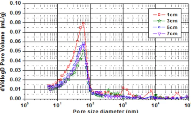 Fig. 6. Chloride concentration in the concrete.