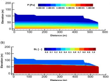 Fig. 3. (a): Distribution of hydraulic pressure on the unsaturated initial condition, (b): Distribution of water saturation on the unsaturated initial condition.