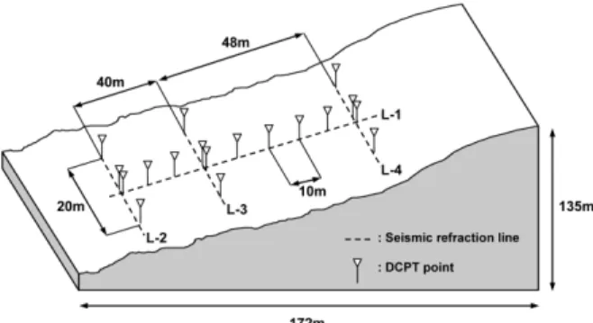 Fig. 5. Schematic drawing of DCPT.