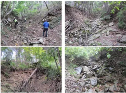 Fig. 4. Photographs of valleys (debris flow along Route 56).