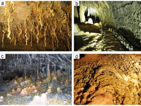 Fig. 9. Micro-structures and speleothems in the newly discovered cave. (a) Lava helictite on the cave ceiling; (b) lava leeve;