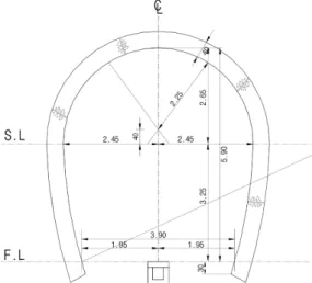 Fig. 4. Tunnel section for numerical analysis.