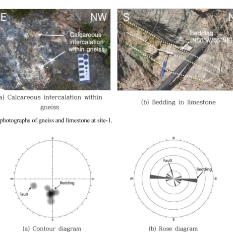 Fig. 6. Stereographic projection showing the orientations of bedding and fault in the study area.