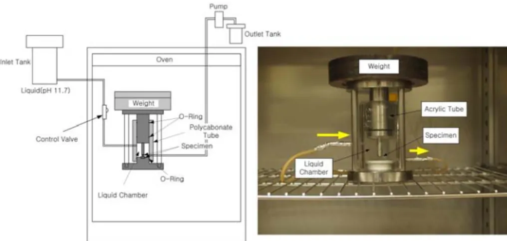 Fig. 4. Confocal microscopy using a pinhole shape (left) and photograph (right) of the CLSM