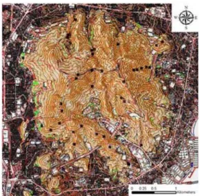 Fig. 8. Thematic maps for landslides hazard analysis. 