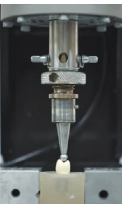 Fig. 2. Fracture strength test with the universal testing machine.