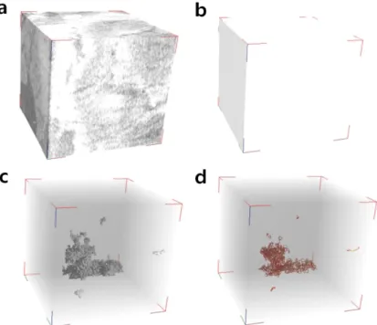 Fig. 7. Micro-CT images showing the distributions of pores and fractures in fresh granite (sample F-1), as well as the three- three-dimensional distribution of medial axes, volume data, and pore volume data