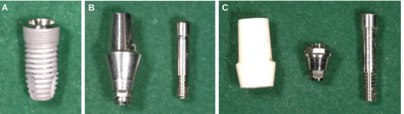 Fig. 1. The implant/abutment assemblies used in the study, (A) internal connection type titanium implant, (B) control group: internally connected titanium abutment with a titanium screw, (C) experimental group: externally connected zirconia abutment with a