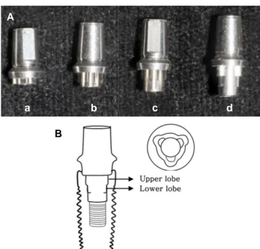 Fig. 1. Internal connection dental implant system. (A) From the left, abutments with internal lengths of 1, 2, 3, and 4 mm (a, b, c, and d, respectively); the abutment  com-prised double lobes, including an upper lobe and a lower lobe, (B) Longitudinal and