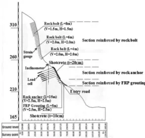 Fig. 10. Earth retention system applied to the failed slope.