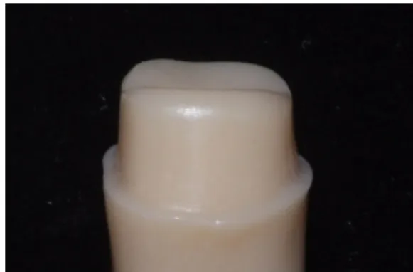 Fig. 1. Prepared resin master die.