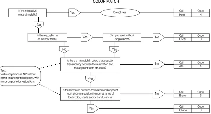Fig. 4. An example of flow-chart in color match tab of USPHS criteria.