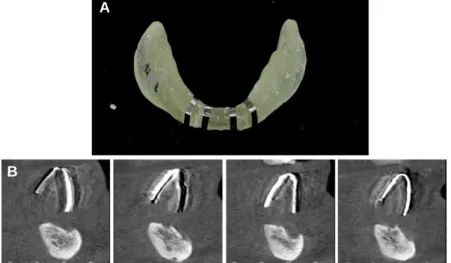 Fig. 1. Panoramic view at first visit.