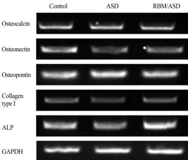 Fig. 6. The degree of cell proliferation by XTT assay after 3 days incubation time (n=7 in each group)