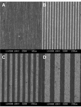 Fig. 1. Field emission scanning electron microscopic images of (A) ST (×500), (B) Gr15 (×200), (C) Gr30 (×200) and (D) Gr60 (×200).