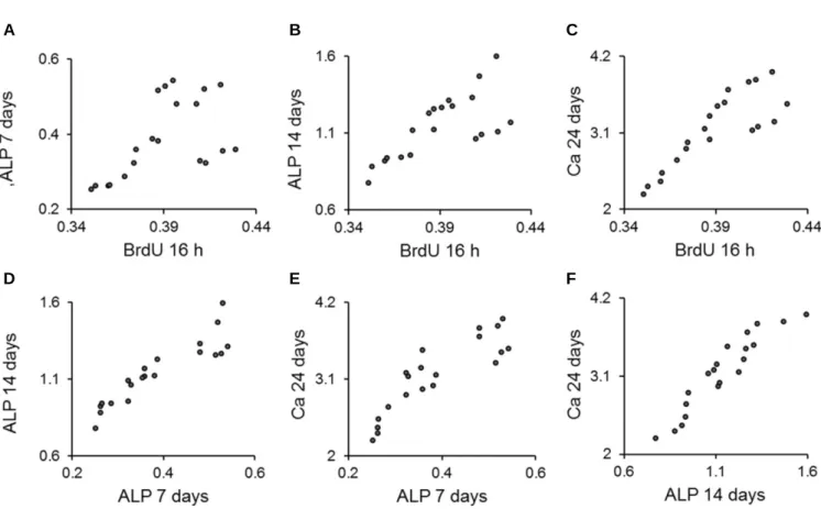 Table 4. Pearson correlation coefficients between the results of the bromodeoxyuridine assay, alkaline phosphatase activity and extracellular calcium deposition of human periodontal ligament cells
