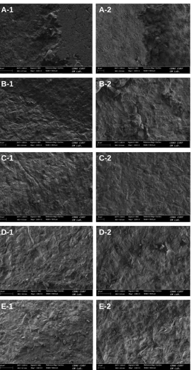 Fig. 6. Scanning electron microscope image of zirconia surface after shear-bond strength test (×2,000 magnification, -1: before thermocycling, -2: after  thermo-cycling)
