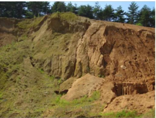 Fig. 9. Scour structure on the construction road.