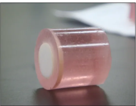 Fig. 1. Ceramic disk embedded in acrylic resin. 